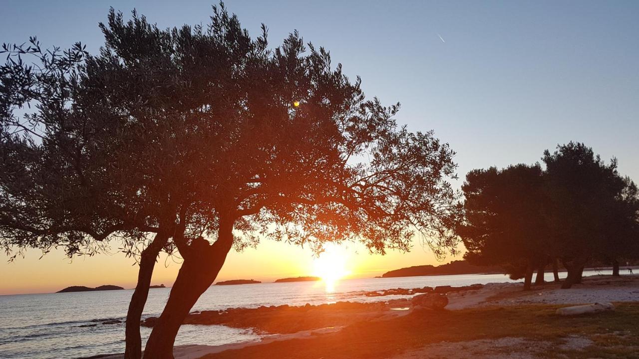 Apartments Alea Rovinj Dış mekan fotoğraf